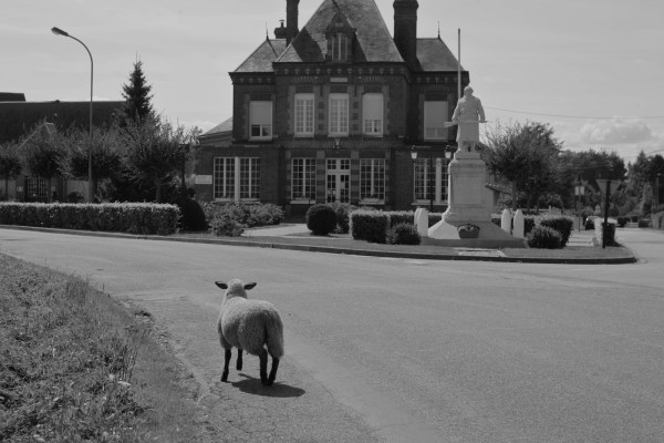 Serge-Philippe-Lecourt-2014-08-Monument-aux-morts Hauville(27)-6