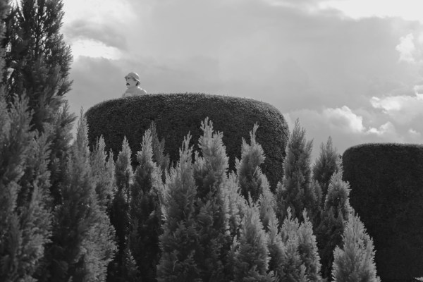 SP Lecourt -2014-08-MAM Buigny les Gamaches (80)