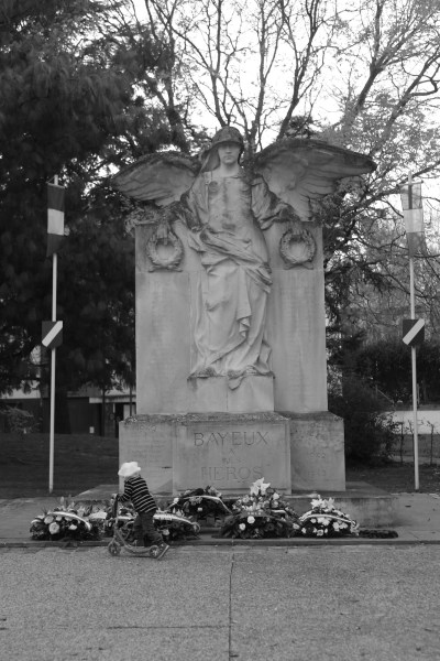 Serge-Philippe-Lecourt-2015-11-11-Bayeux-monument-aux-morts-34