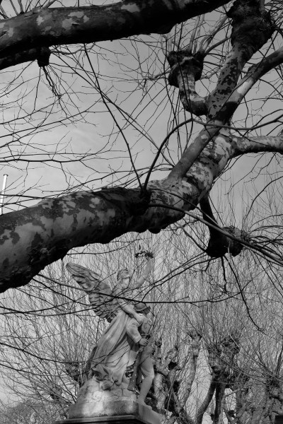 Serge-Philippe-Lecourt-2015-12-Monument-aux-morts-Avranches-