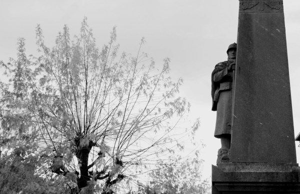 serge-philippe-lecourt-2016-monument-aux-morts-messei-61